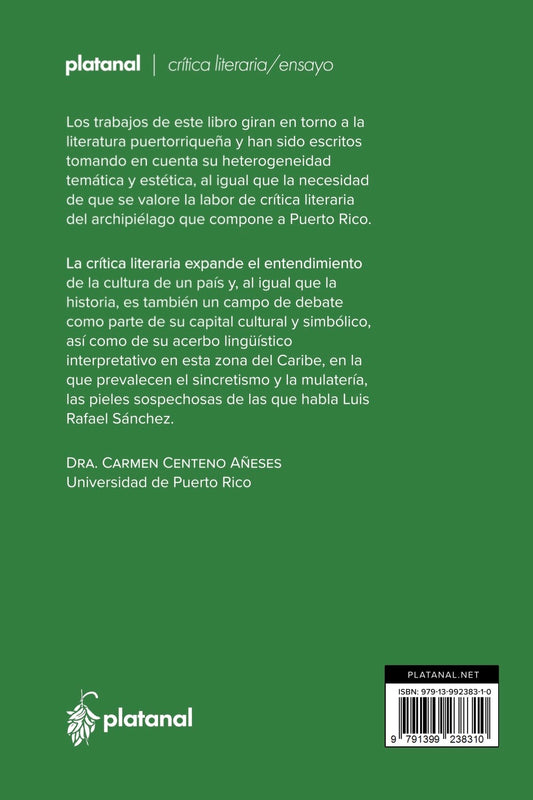 Crítica literaria, periferia intelectual y disonancias. Carmen Centeno Añeses