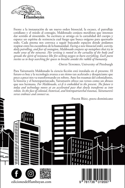 Ciencia ficción en el mirador. Sci-fi at the mirador (bilingüe e ilustrado): Yairamarén Maldonado