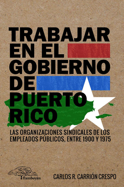 Trabajar en el gobierno de Puerto Rico: Carlos R. Carrión Crespo
